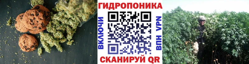 Печенье с ТГК конопля  Купить где  Иланский 